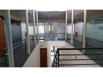 Arriendo 8 oficinas c/ con baño en San Felipe , 16 mt2, 8 habitaciones