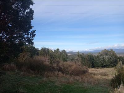 Se vende terreno de 18 hectareas en Chiloé