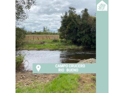 Campo  Río Bueno- Crucero 9,1 Ha. - Rio Sur Corretajes