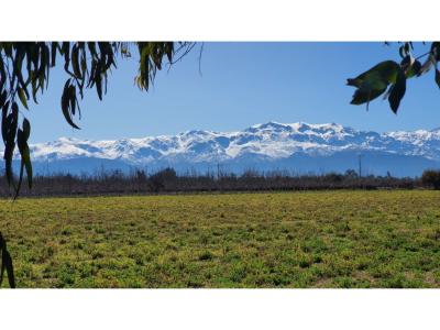 Venta Parcela de 5000 m2 con nogales en Rinconada de Los Andes