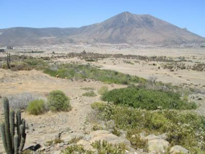 Vendo 7,6 Hectáreas borde carretera Pichidangui, 76572 mt2