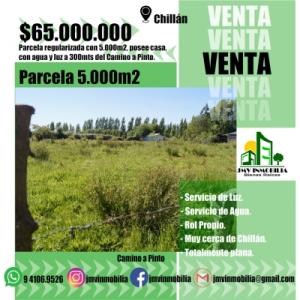 JMV Inmobilia VENDE Parcela Camino a Pinto Chillán, 5000 mt2