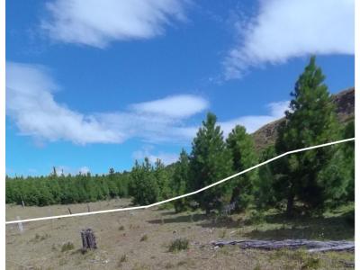 Vende parcelas agrícolas de 5.000 mt2 en Proyecto Fundo Huemul. Proyecto ubicado en la Patagonia Chilena, localidad de El Blanco