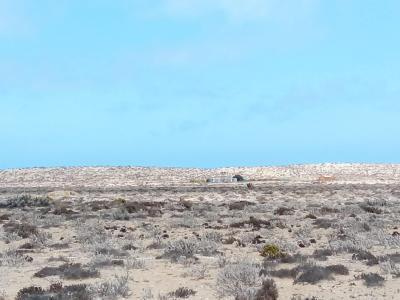 Gestimob Vende Terreno de 5.000 m2 en Punta de Choros (entre pueblo los choros y pueblo costero).