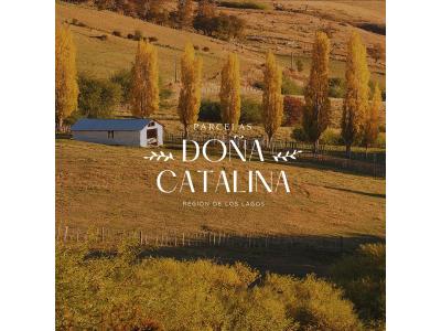 Parcela n15 con bosque y entrada independiente, Doña Catalina – Los Muermos